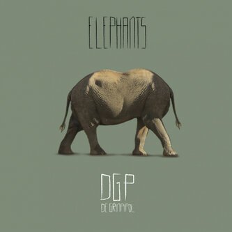 Elephants