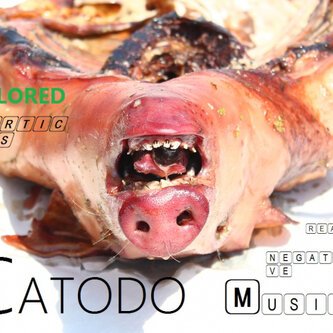 CATODO (Really Nagative Music)