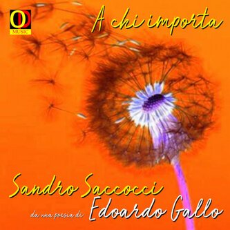 A chi importa (single)