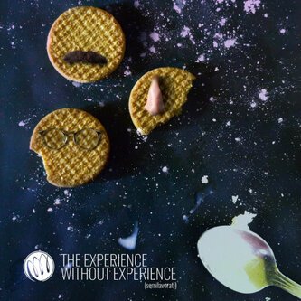 The Experience Without Experience
