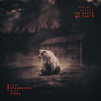 Copertina dell'album Are We Doing The Best We Can?, di Low Standards, High Fives