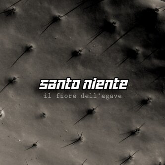 Il fiore dell'agave