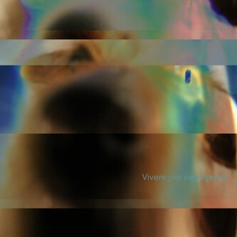 Copertina dell'album Vivere per negligenza, di Tommaso Caronna