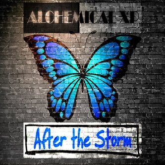 After the Storm