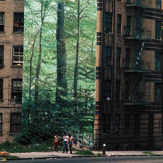 Modern Jungle's Prisoners