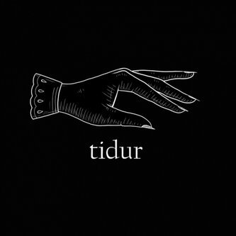Tidur