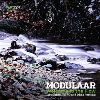 Welcome to the Flow - Single + international Remix