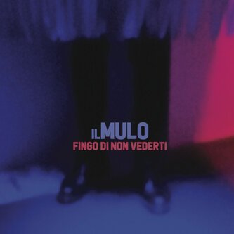Fingo di non vederti