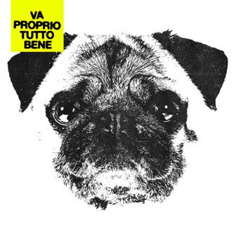 Copertina dell'album Va Proprio Tutto Bene, di Pay