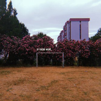 Copertina dell'album If There Were, di Mykyta Tortora