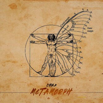 Metamorph