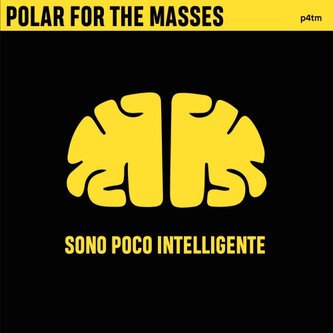 Sono poco intelligente (Single)