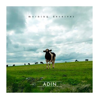 ADIN