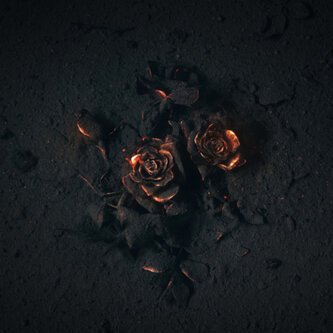 The Arsonist - Single