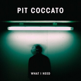 What I Need