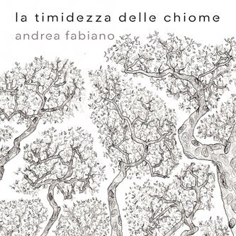 La timidezza delle chiome