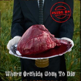 Copertina dell'album Where Orchids Goes To DIe (Side B), di Where Orchids Goes To die
