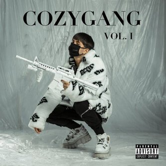 Cozygang Vol 1