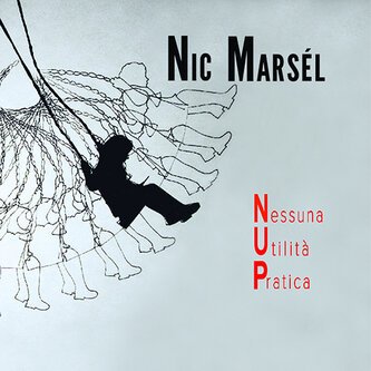 Nessuna Utilità Pratica