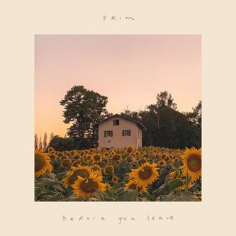 Before you Leave