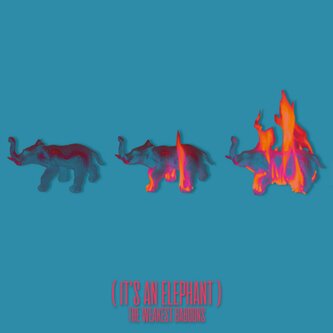 IT'S AN ELEPHANT