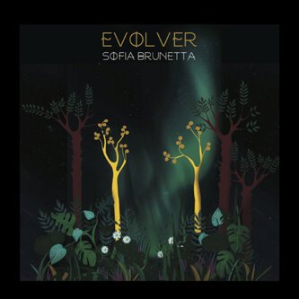 Evolver