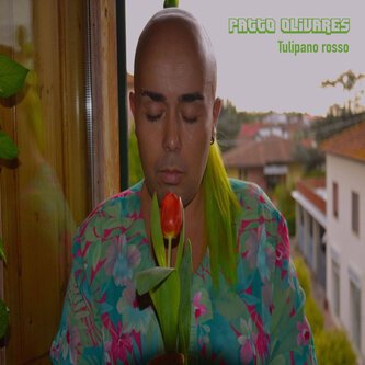 Tulipano rosso