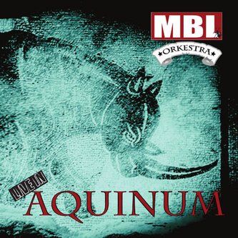 Copertina dell'album LIVE IN AQUINUM, di Musicisti Basso Lazio