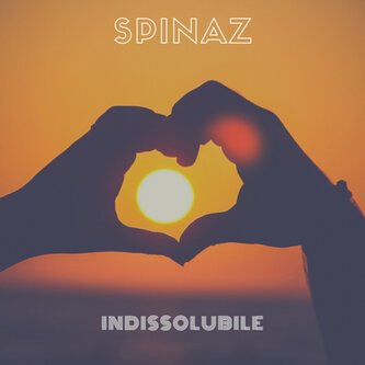 Indissolubile