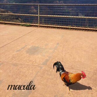 Copertina dell'album Macula, di Bacon's Chaos