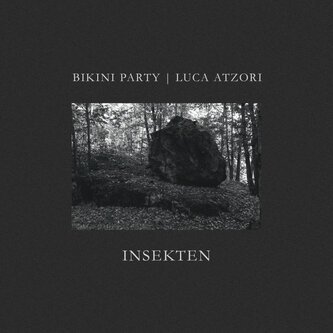 INSEKTEN