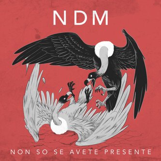 NON SO SE AVETE PRESENTE
