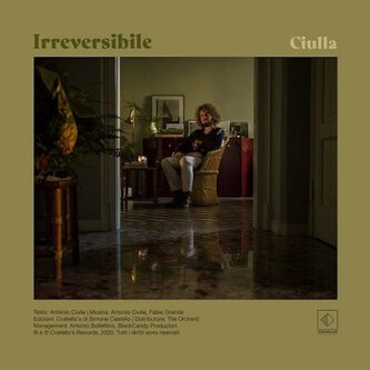 Irreversibile