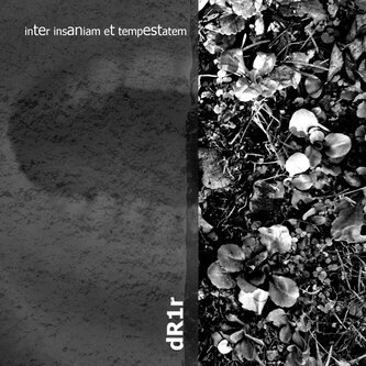Inter Insaniam et Tempestatem