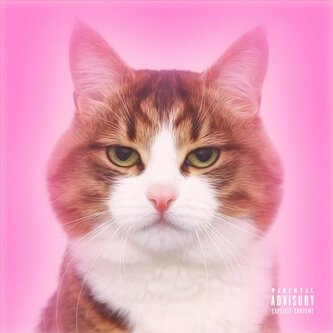 Copertina dell'album Garfield, di Addolorata