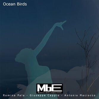 Ocean Birds