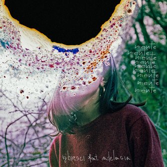Copertina dell'album Niente, di GBRESCI