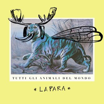 Tutti gli animali del mondo