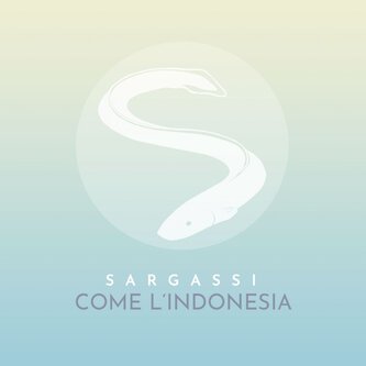 Come l'Indonesia
