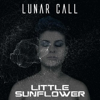 Little Sunflower