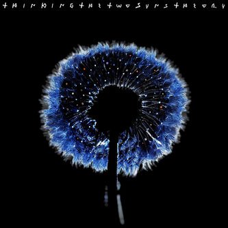 Copertina dell'album The Two Suns Theory, di Thin King