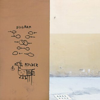 Diagram/Peacock