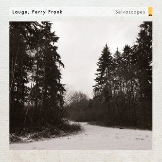 Selvascapes [with Lauge]