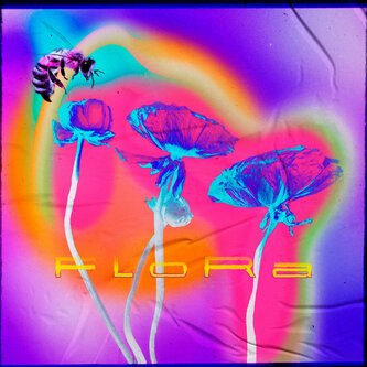 Copertina dell'album Flora, di Assurditè