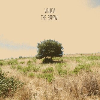 The Sprawl