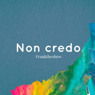 Copertina dell'album Non credo, di Franktheshow