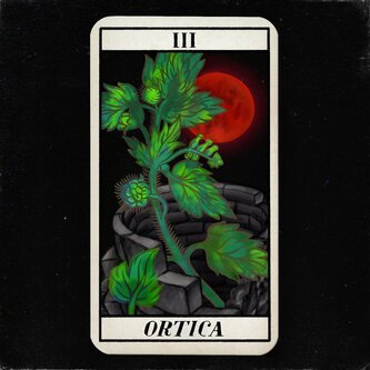 Ortica