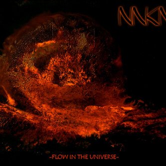 Flow In The Universe