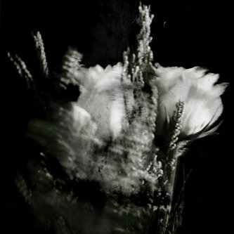 Copertina dell'album bound, di Earthset