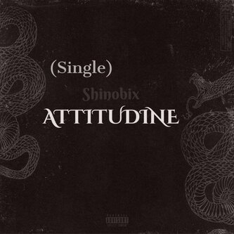 Attitudine (single)